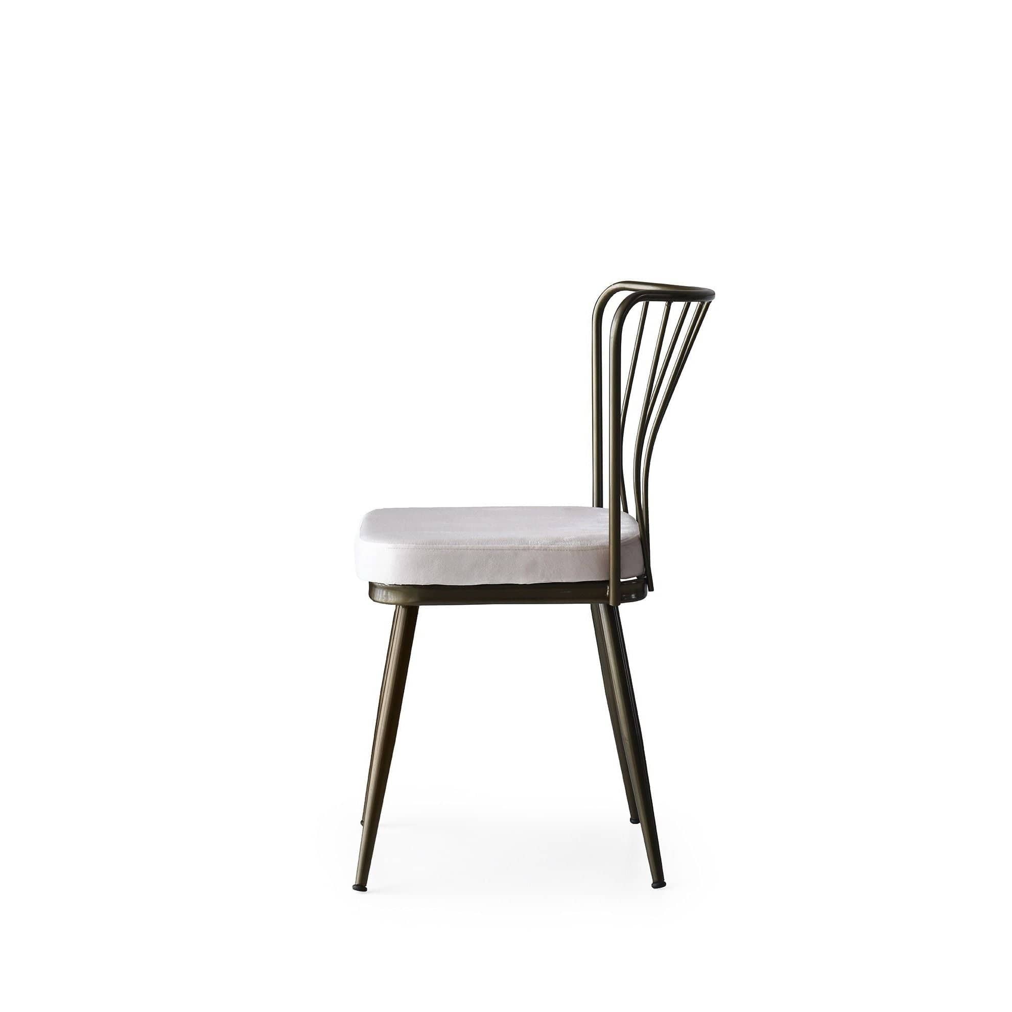 Set di 2 sedie da pranzo in velluto Yildiz 984 Grigio (4)
