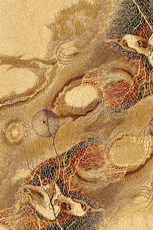 Tappeto Wilton Bellona Amber Ambra