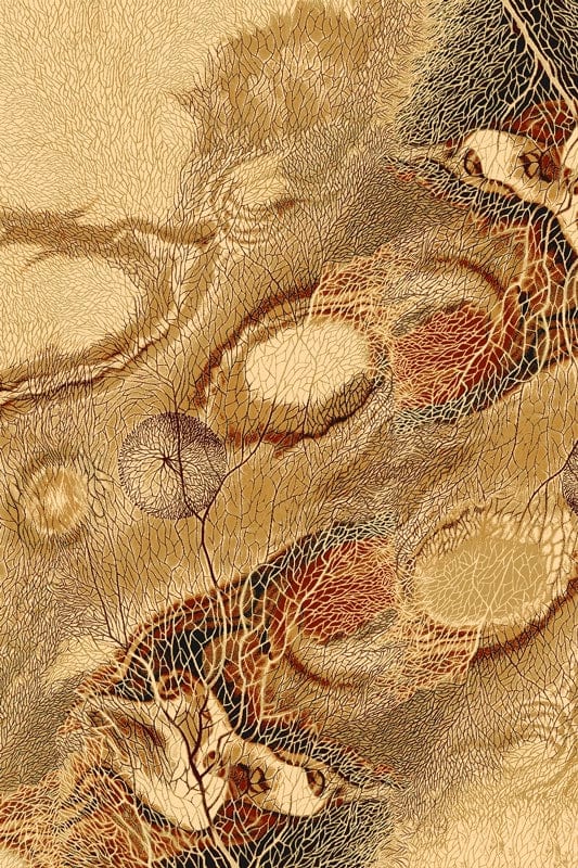 AGNLPL-ISFAHAN-BELLONA-AMBER