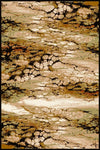 AGNLPL-STANDARD-NIGELLA-SAND